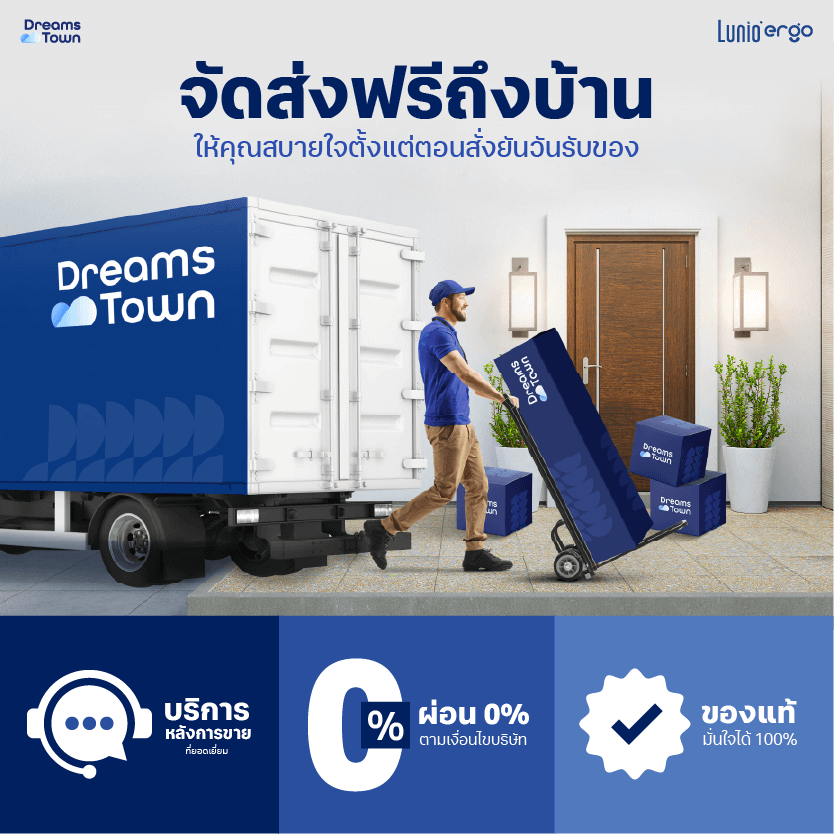 เบาะรองหลัง LUNIO ERGO LITE BACK CUSHION