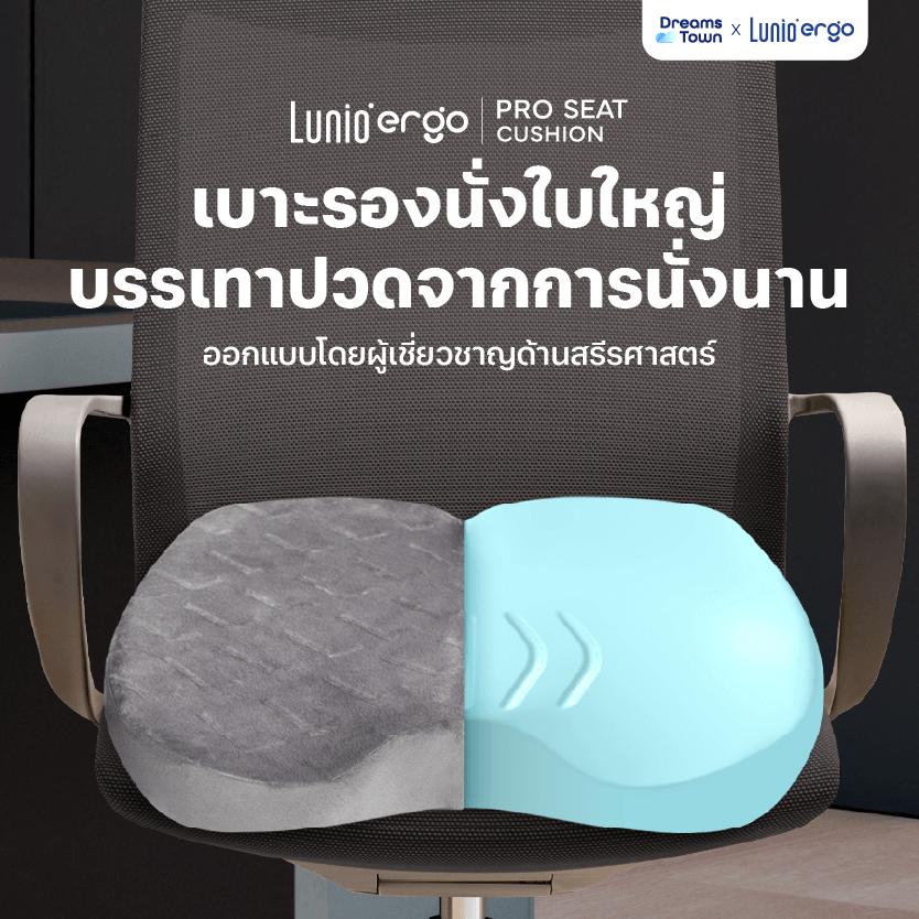 เบาะรองนั่ง LUNIO ERGO PRO SEAT CUSHION