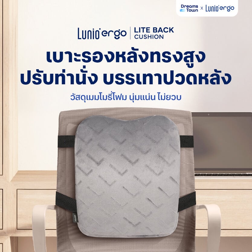 เบาะรองหลัง LUNIO ERGO LITE BACK CUSHION