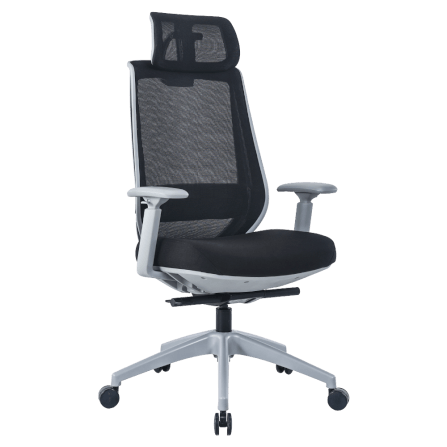 เก้าอี้ทำงาน เพื่อสุขภาพ LUNIO ERGO APOLLO CHAIR BLACK JET สีดำ_0