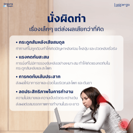 เบาะรองหลัง LUNIO ERGO LITE BACK CUSHION_1