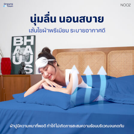 ผ้าปูที่นอน 5 ฟุต Nooz Play รุ่น Bedding Set สีฟ้าเข้ม Arctic Blue_2