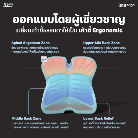 เบาะรองหลัง LUNIO ERGO PRO BACK CUSHION_2