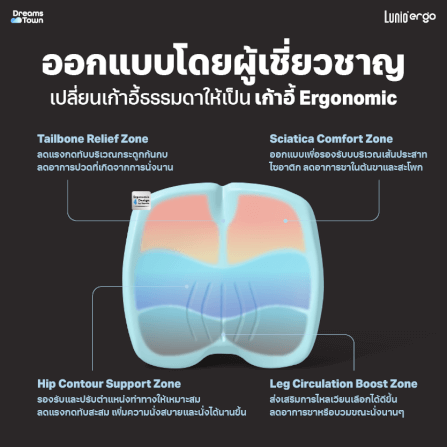 เบาะรองนั่ง LUNIO ERGO PRO SEAT CUSHION_2