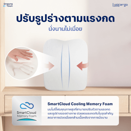 เบาะรองหลัง LUNIO ERGO LITE BACK CUSHION_2