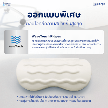 หมอนรองเท้า ที่วางเท้า LUNIO ERGO WAVE FOOTREST CUSHION_2
