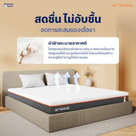ทีนอนโฟมพรีเมียม 3.5 ฟุต MORNING SLEEP RISE FRESH+_3