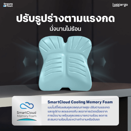 เบาะรองหลัง LUNIO ERGO PRO BACK CUSHION_3