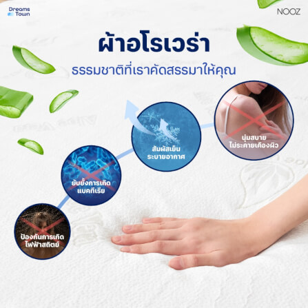 ท็อปเปอร์เมมโมรี่โฟม 3.5 ฟุต NOOZ ERGO COOLMAX THE 7 ZONE_4