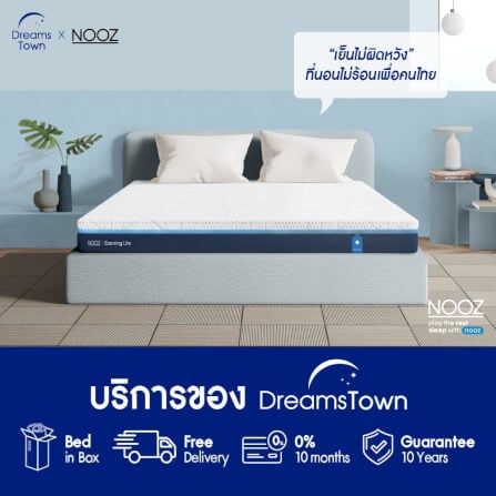 ที่นอนเมมโมรี่โฟม 6 ฟุต NOOZ Evening Lite Evo หนา 4 นิ้ว_6