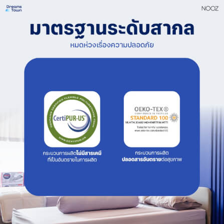 ท็อปเปอร์เมมโมรี่โฟม 3.5 ฟุต NOOZ ERGO COOLMAX THE 7 ZONE_8