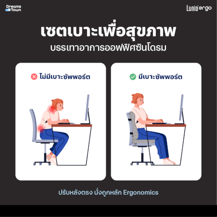 เบาะรองหลัง LUNIO ERGO PRO BACK CUSHION_8
