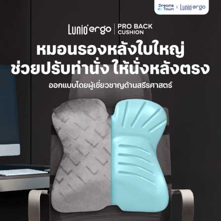 เบาะรองหลัง LUNIO ERGO PRO BACK CUSHION_11