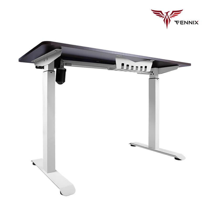 โต๊ะทำงานเพื่อสุขภาพ Fennix รุ่น 160*80cm สีไม้สีเข้ม/ขาว