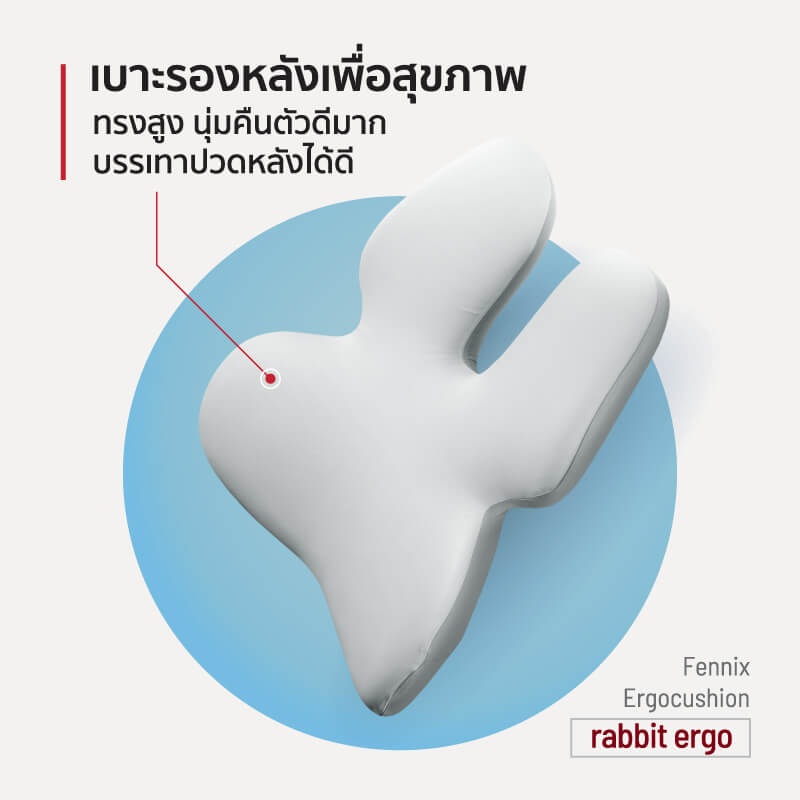 เบาะรองหลัง Fennix รุ่น rabbit ergo สีเทา_4