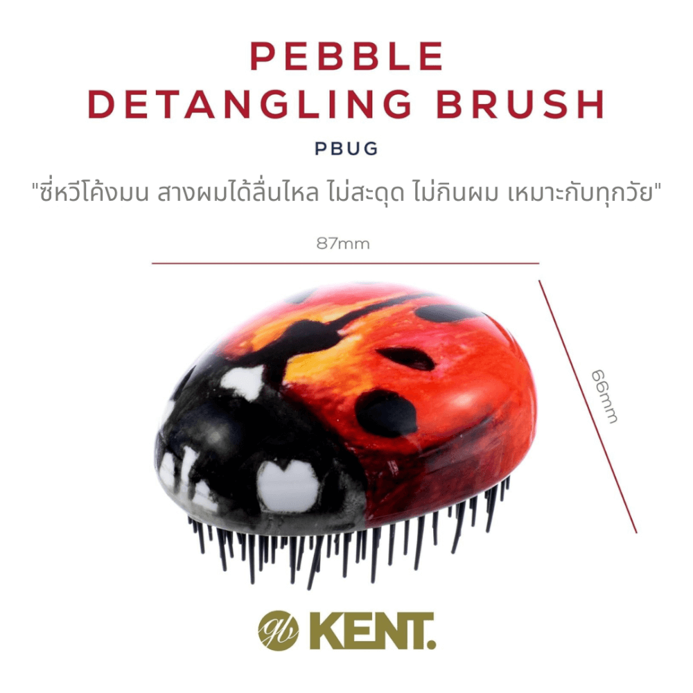 แปรงหวีผม KENT รุ่น PEBBLE DETANGLING LADYBUG BRUSH เต่าทอง_1