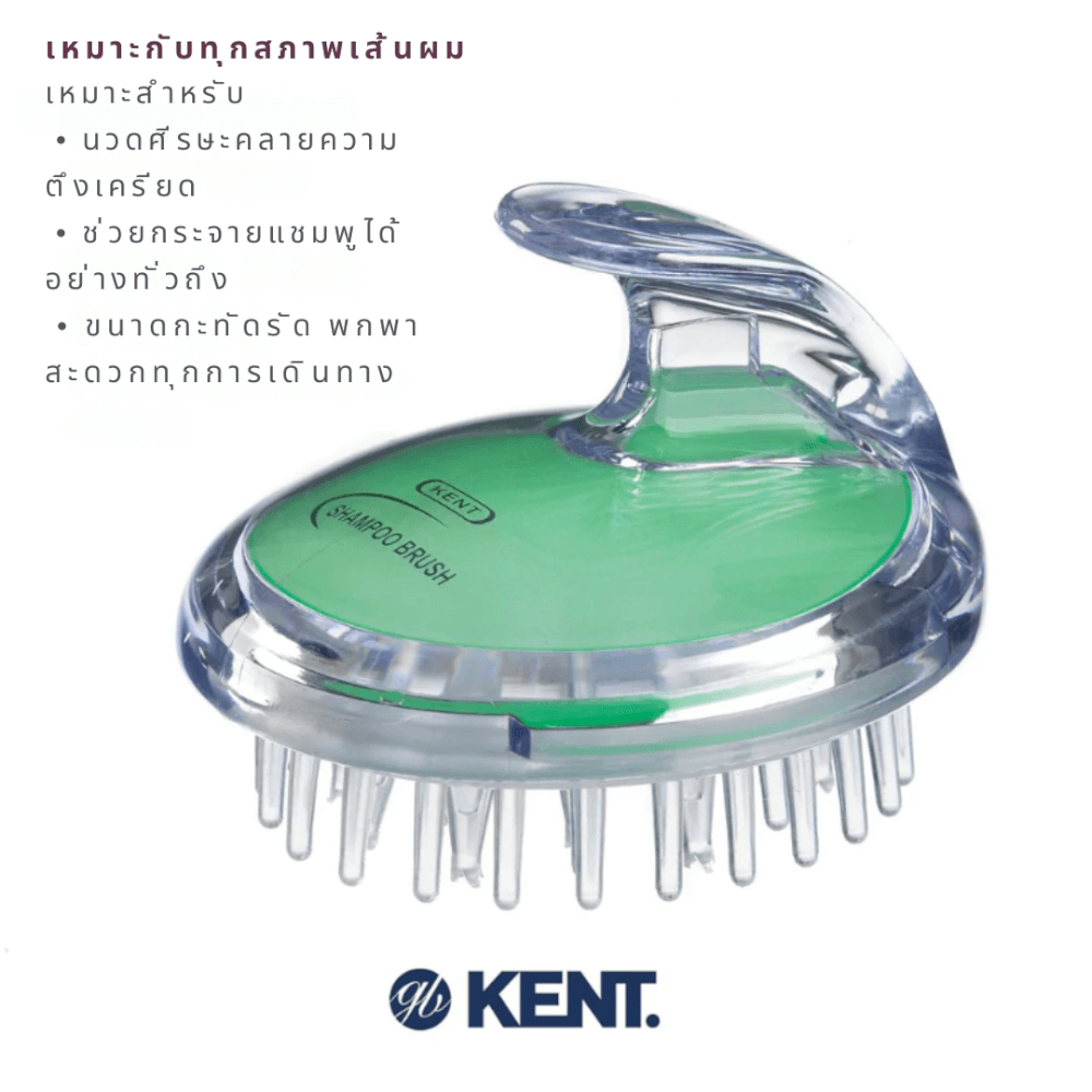 แปรงสระผม KENT SHAMPOO AND SCALP MASSAGE BRUSH สีเขียว