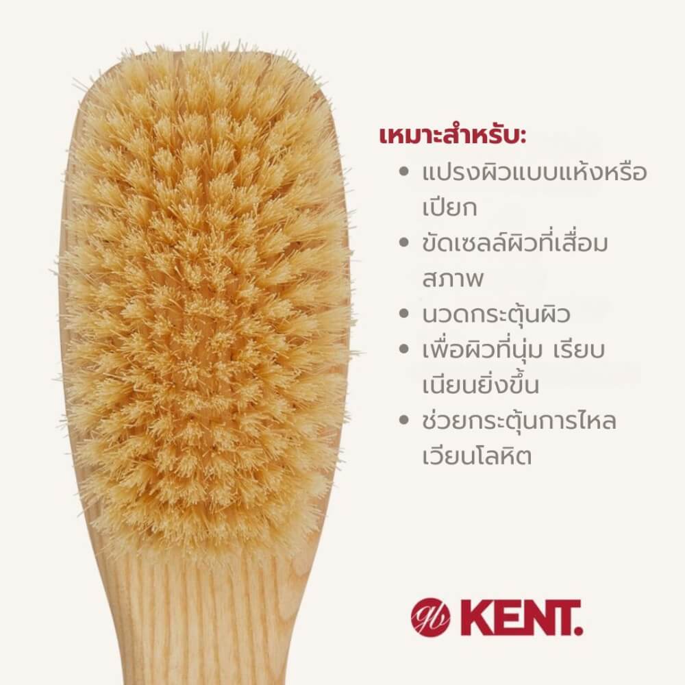 แปรงอาบน้ำขนหมูป่าแท้ KENT รุ่น FD6 แบบมีด้าม