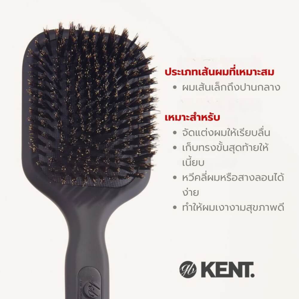 หวีแปรงขนหมูป่าแท้ KENT รุ่น AH13G AIRHEDZ ขนาดกลาง