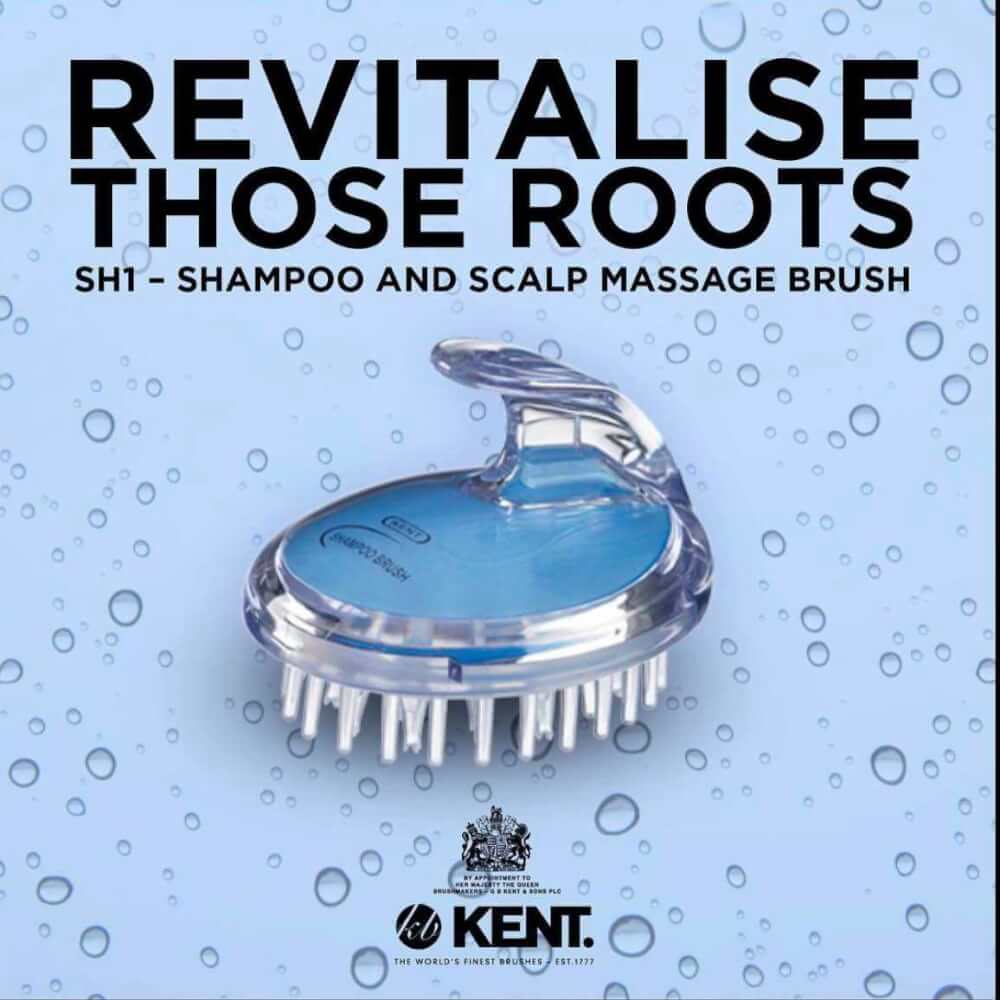แปรงสระผม KENT SHAMPOO AND SCALP MASSAGE BRUSH สีฟ้า