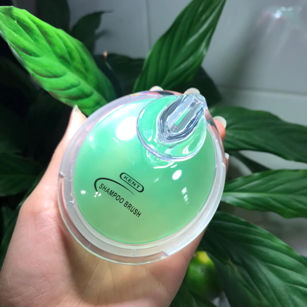 แปรงสระผม KENT SHAMPOO AND SCALP MASSAGE BRUSH สีเขียว