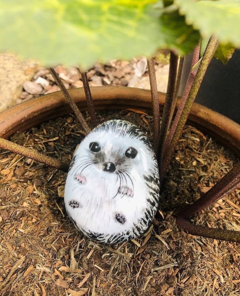แปรงหวีผม KENT รุ่น PEBBLE DETANGLING HEDGEHOD เม่น_10