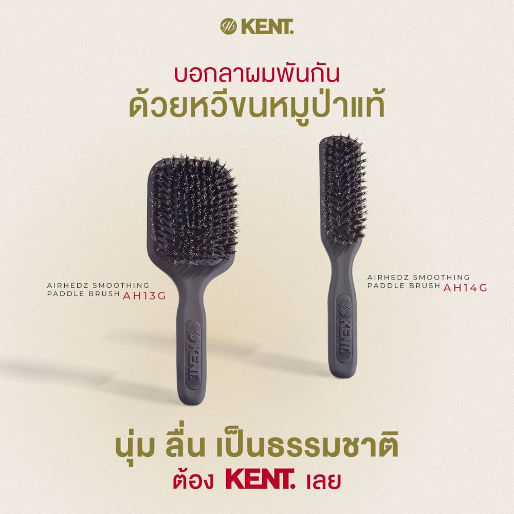 หวีแปรงขนหมูป่าแท้ KENT รุ่น AH13G AIRHEDZ ขนาดกลาง