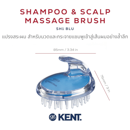 แปรงสระผม KENT SHAMPOO AND SCALP MASSAGE BRUSH สีฟ้า_1