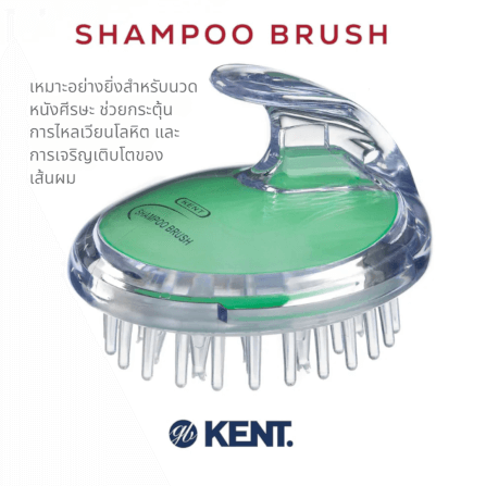 แปรงสระผม KENT SHAMPOO AND SCALP MASSAGE BRUSH สีเขียว_1