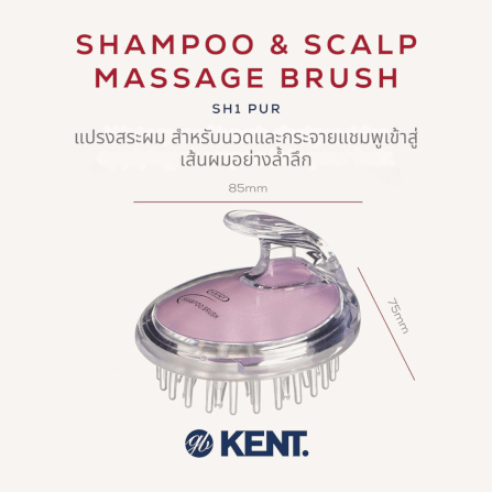 แปรงสระผม KENT SHAMPOO AND SCALP MASSAGE BRUSH สีม่วงอ่อน_1