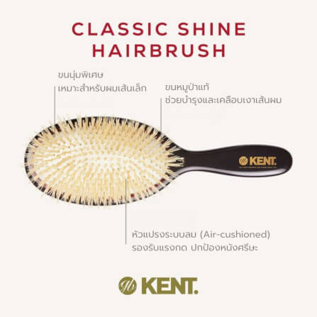 แปรงหวีผม KENT รุ่น CLASSIC SHINE ขนาดกลาง ขนหมูป่าแท้สีขาว ขนนุ่ม นำเข้าจากอังกฤษ_2