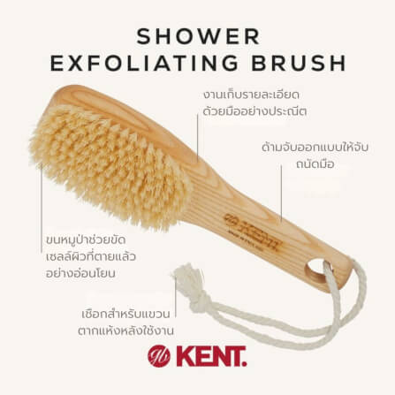 แปรงอาบน้ำขนหมูป่าแท้ KENT รุ่น FD6 แบบมีด้าม_3