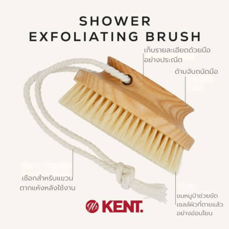 แปรงขัดผิวขนหมูป่าขาวแท้ KENT FD11 ด้ามไม้วงรี สำหรับอาบน้ำและผลัดเซลล์ผิว_3