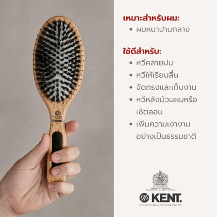 แปรงหวีผมไม้แท้ ขนาดใหญ่ KENT รุ่น PF01 PERFECT FOR SMOOTHING