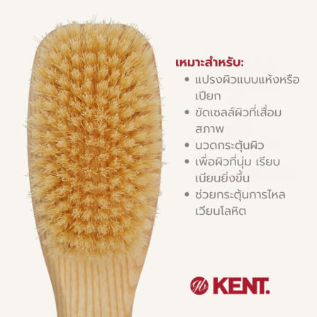แปรงอาบน้ำขนหมูป่าแท้ KENT รุ่น FD6 แบบมีด้าม_4