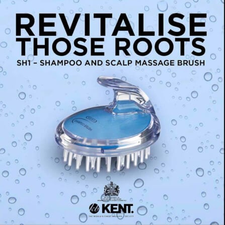 แปรงสระผม KENT SHAMPOO AND SCALP MASSAGE BRUSH สีฟ้า_11