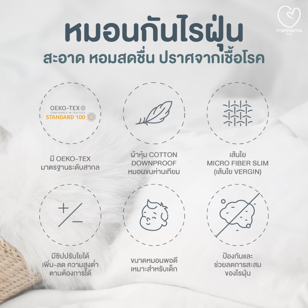 หมอนกันไรฝุ่น MAMAMO ไซส์ M สำหรับเด็ก 4-6 ขวบขึ้นไป ลดการสะสมของไรฝุ่น ไม่ก่อให้เกิดภูมิแพ้ แถมฟรี ปลอกหมอน พร้อมส่ง
