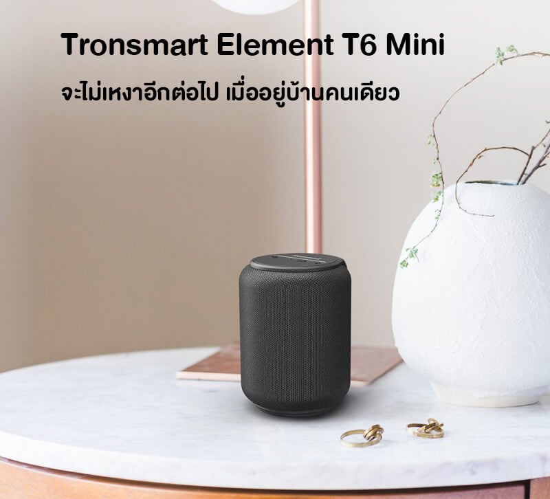 ลำโพงบลูทูธ TRONSMART T6 MINI UPGRADED 15W - สีดำ