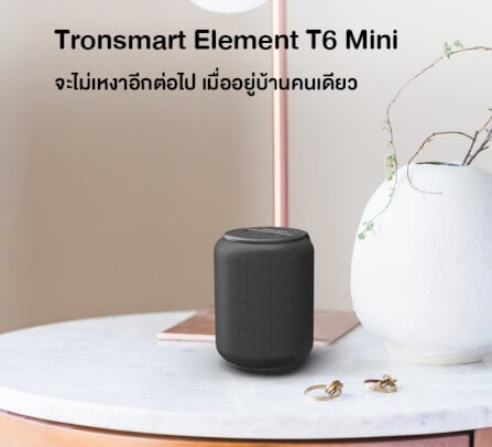 ลำโพงบลูทูธ TRONSMART T6 MINI UPGRADED 15W - สีดำ_9