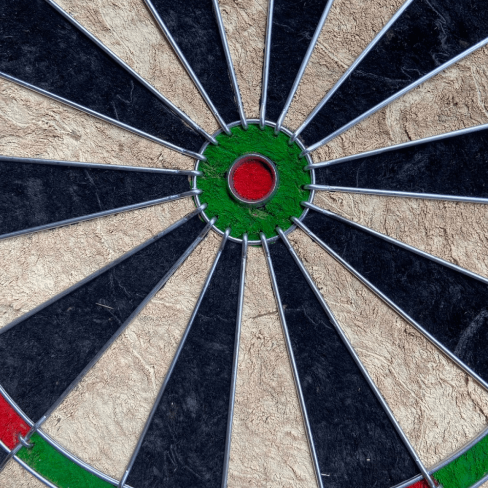 กระดานปาเป้า SIAMDARTS BRISTLE