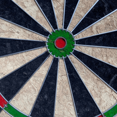 กระดานปาเป้า SIAMDARTS BRISTLE_2