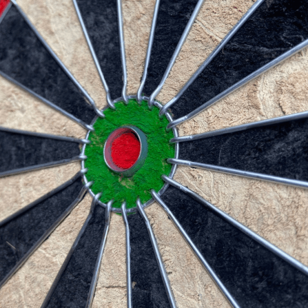 กระดานปาเป้า SIAMDARTS BRISTLE_3
