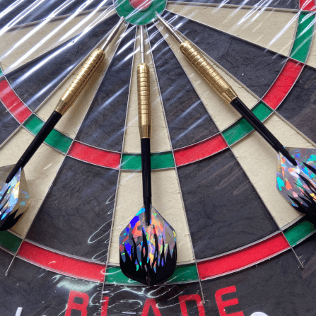กระดานปาเป้า SIAMDARTS WAKEFA BRISTLE_3
