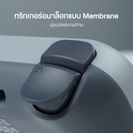 จอยเกม GAMESIR TEGENARIA LITE - SERENE WHITE_7