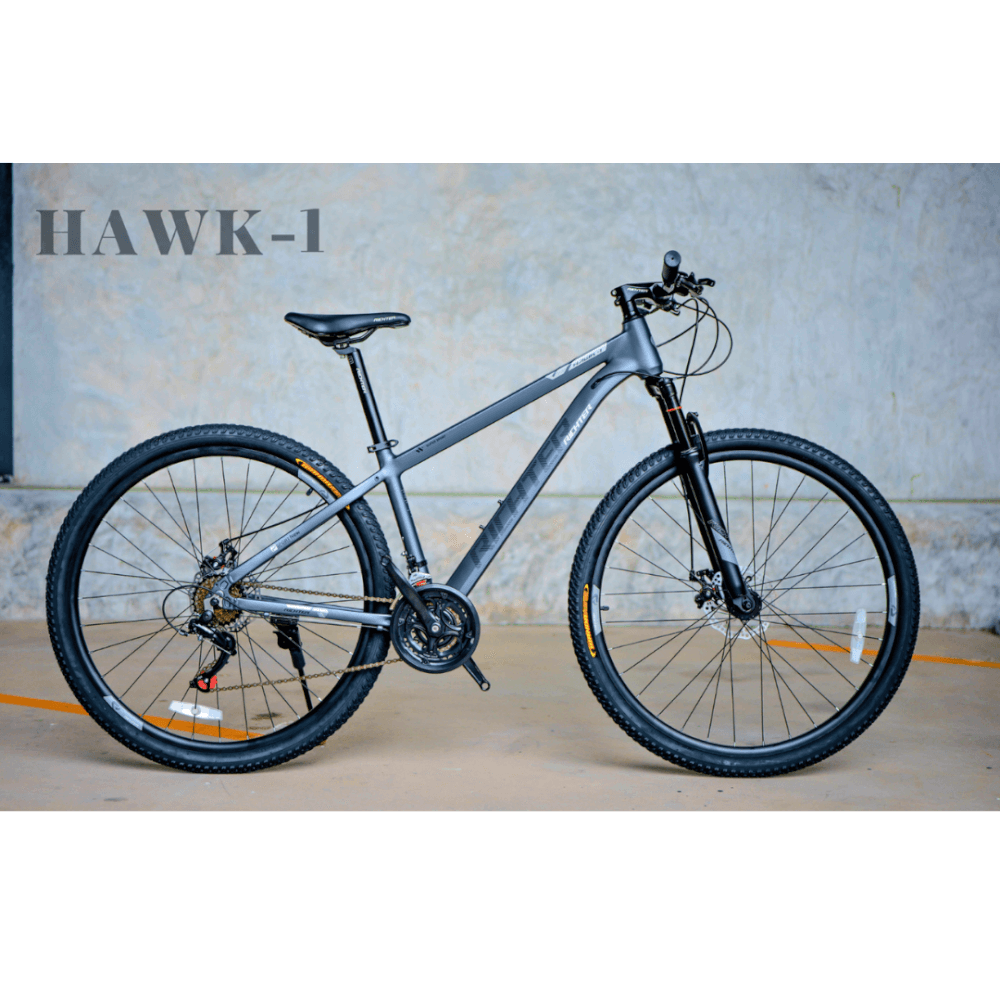 จักรยานเสือภูเขา RICHTER HAWK-1 ขนาดวงล้อ 29 นิ้ว ไซส์ 17 สีเทา