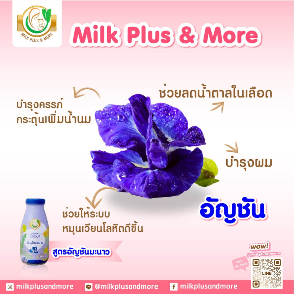 น้ำหัวปลีผสมอินทผลัม มิลค์ พลัส แอนด์ มอร์ สูตรอัญชันมะนาว 250 มล. 24 ขวด