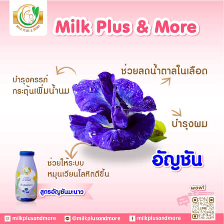 น้ำหัวปลีผสมอินทผลัม มิลค์ พลัส แอนด์ มอร์ สูตรอัญชันมะนาว 250 มล. 24 ขวด_1