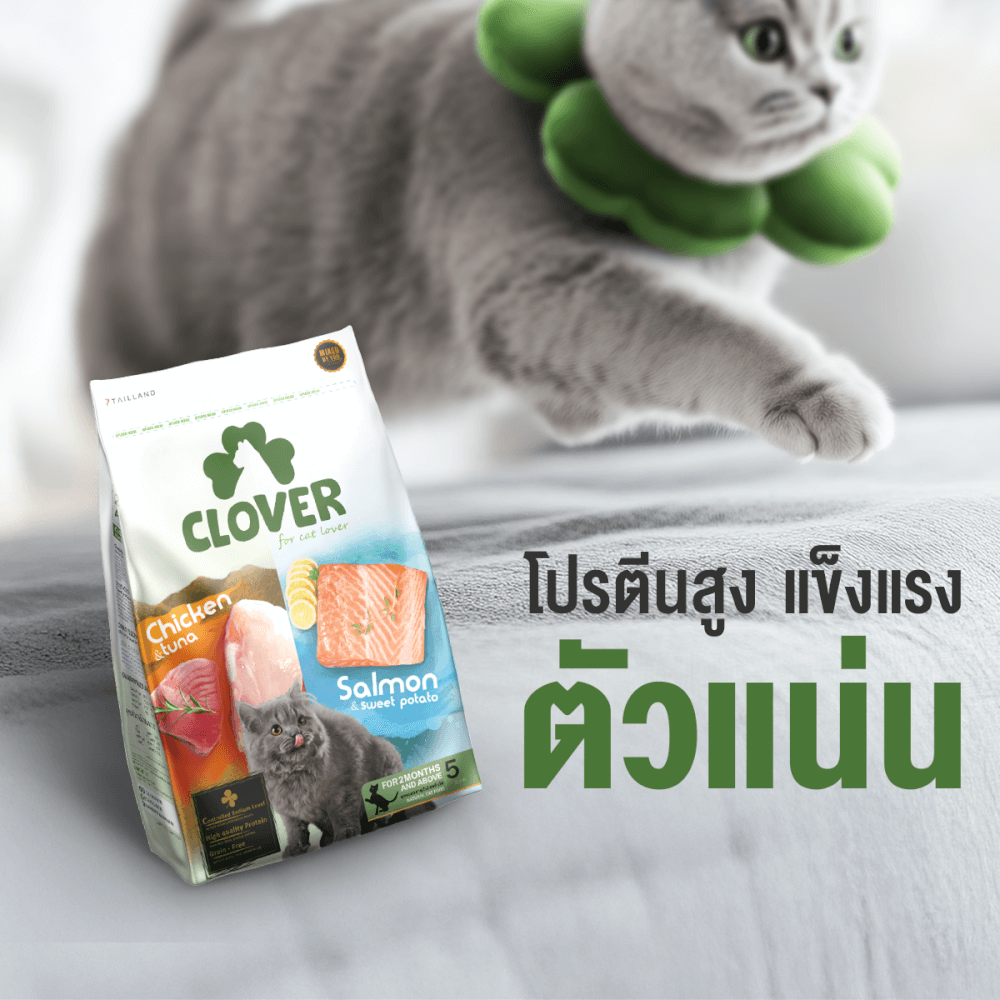 อาหารแมว CLOVER สูตร MIX BY YOU รสไก่กับทูน่า และแซลมอน เกรด HOLISTIC GRAIN-FREE โซเดียมต่ำ (400 G)