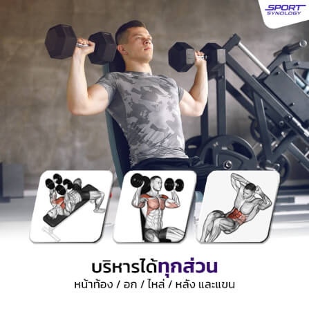 ม้านั่งปรับระดับ SPORTSYNOLOGY SB3 ม้านั่งปรับระดับ ปรับได้ 10 ระดับ_5
