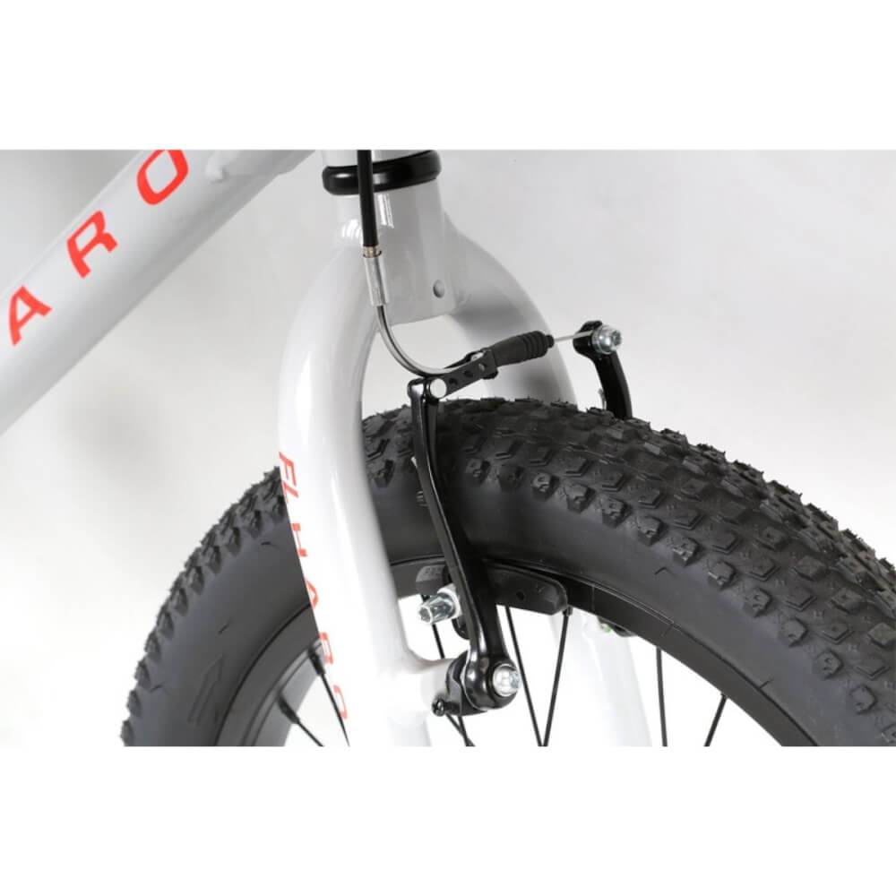 รถจักรยาน HARO รุ่น FLIGHTLINE 20" PLUS - GREY CHARCOAL FADE (ไม่ประกอบ)